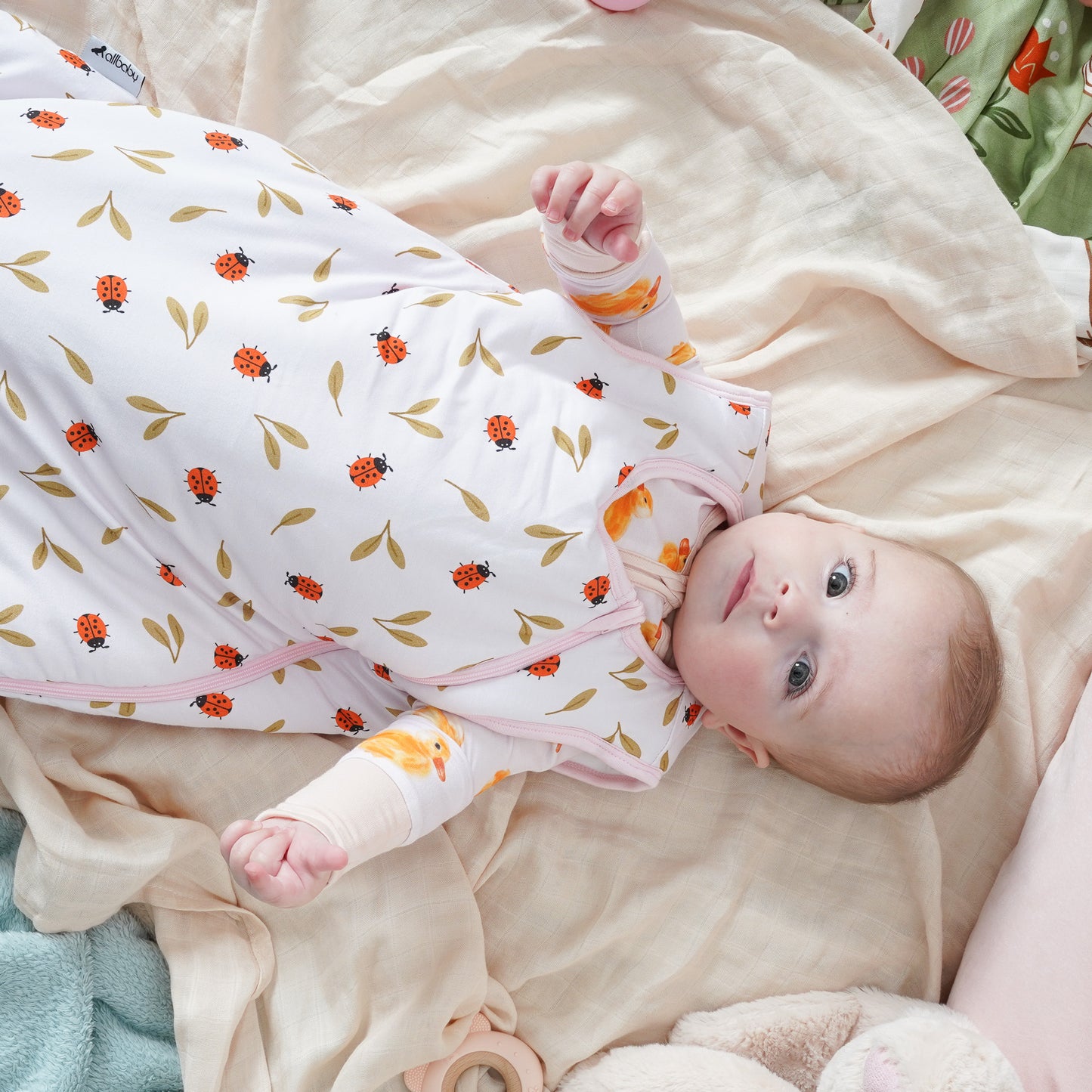 Sleeping Bag - 2 Tog - Ladybird