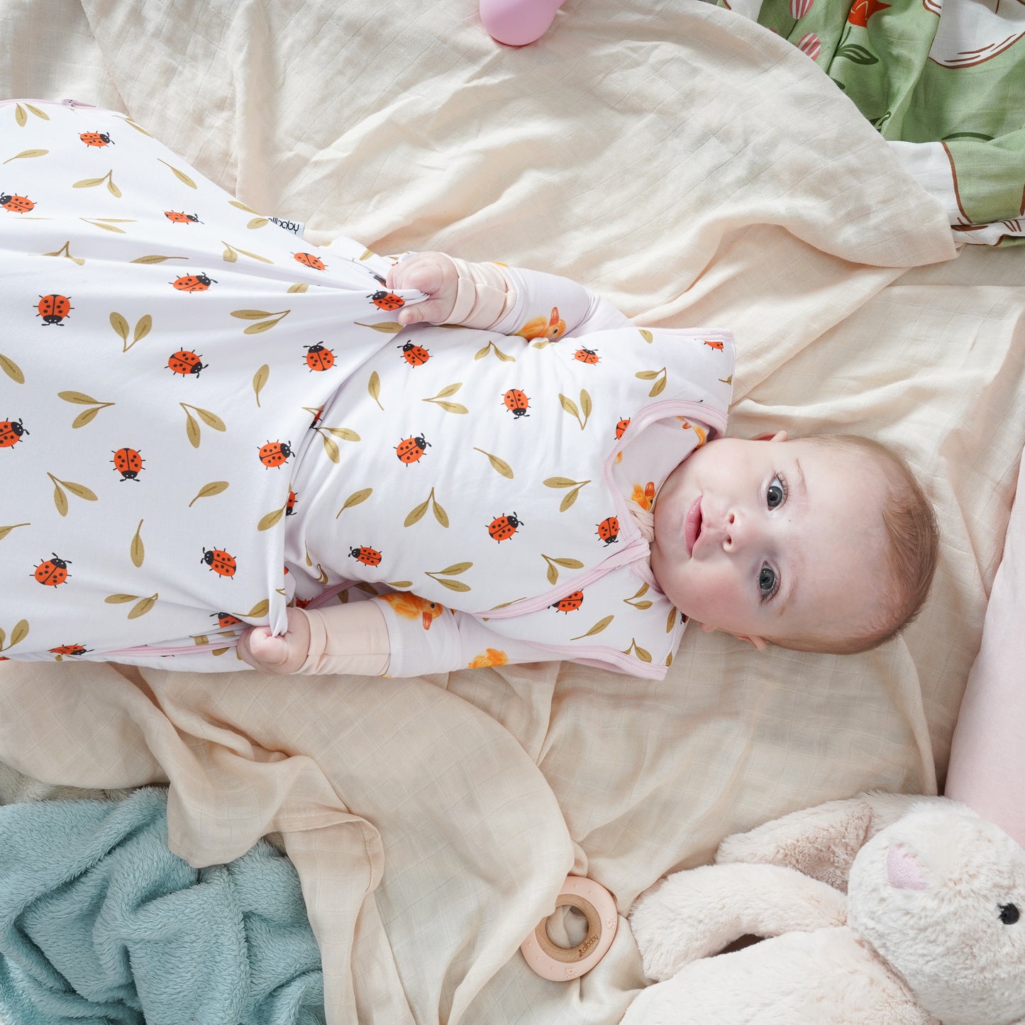 Sleeping Bag - 2 Tog - Ladybird