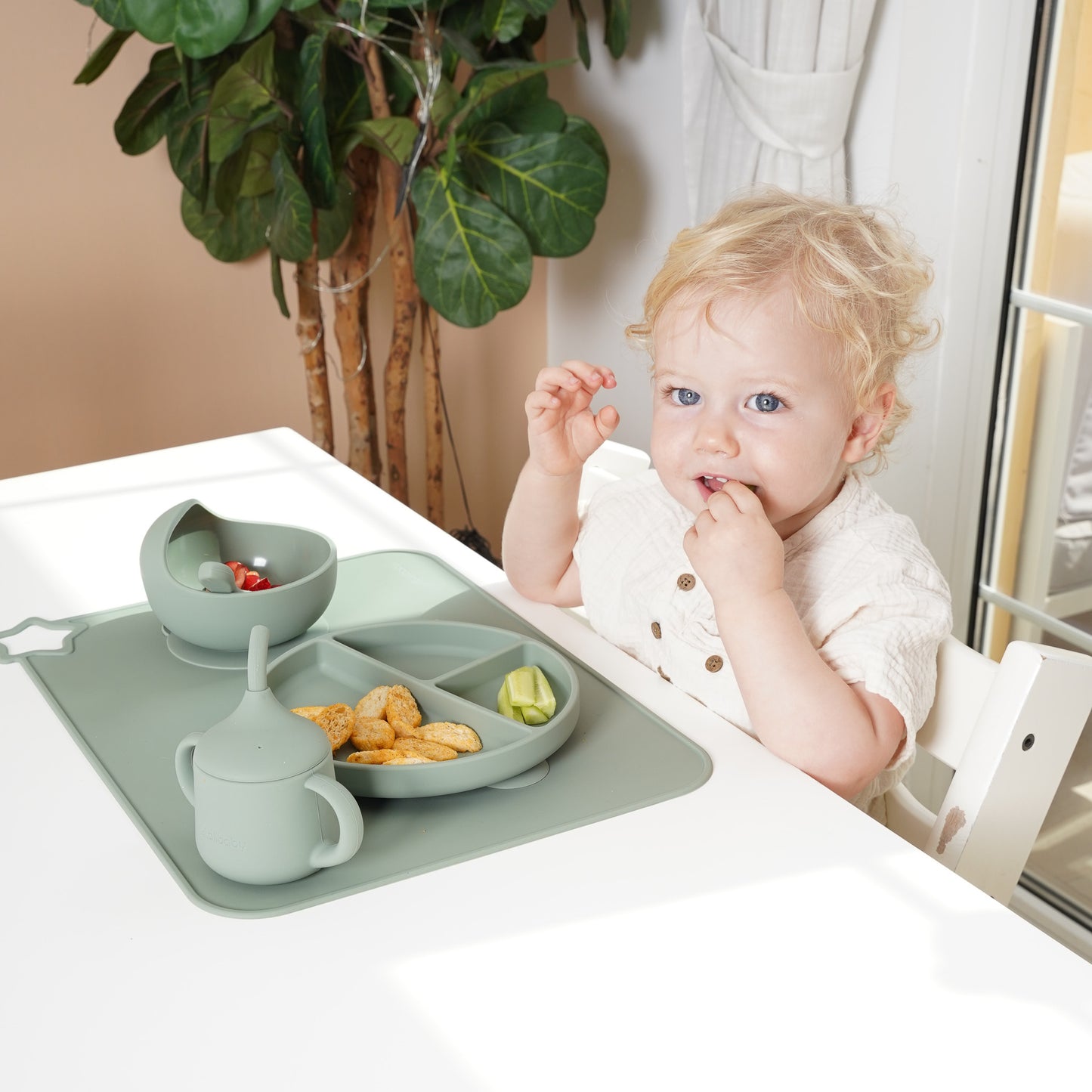Suction Plate