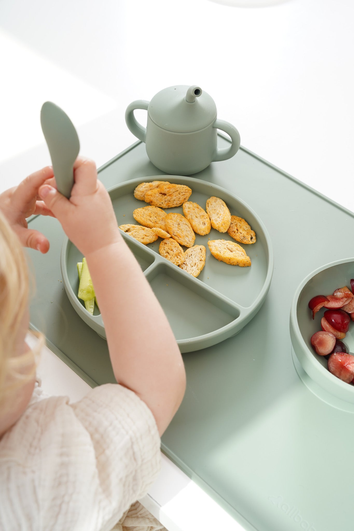 Suction Plate