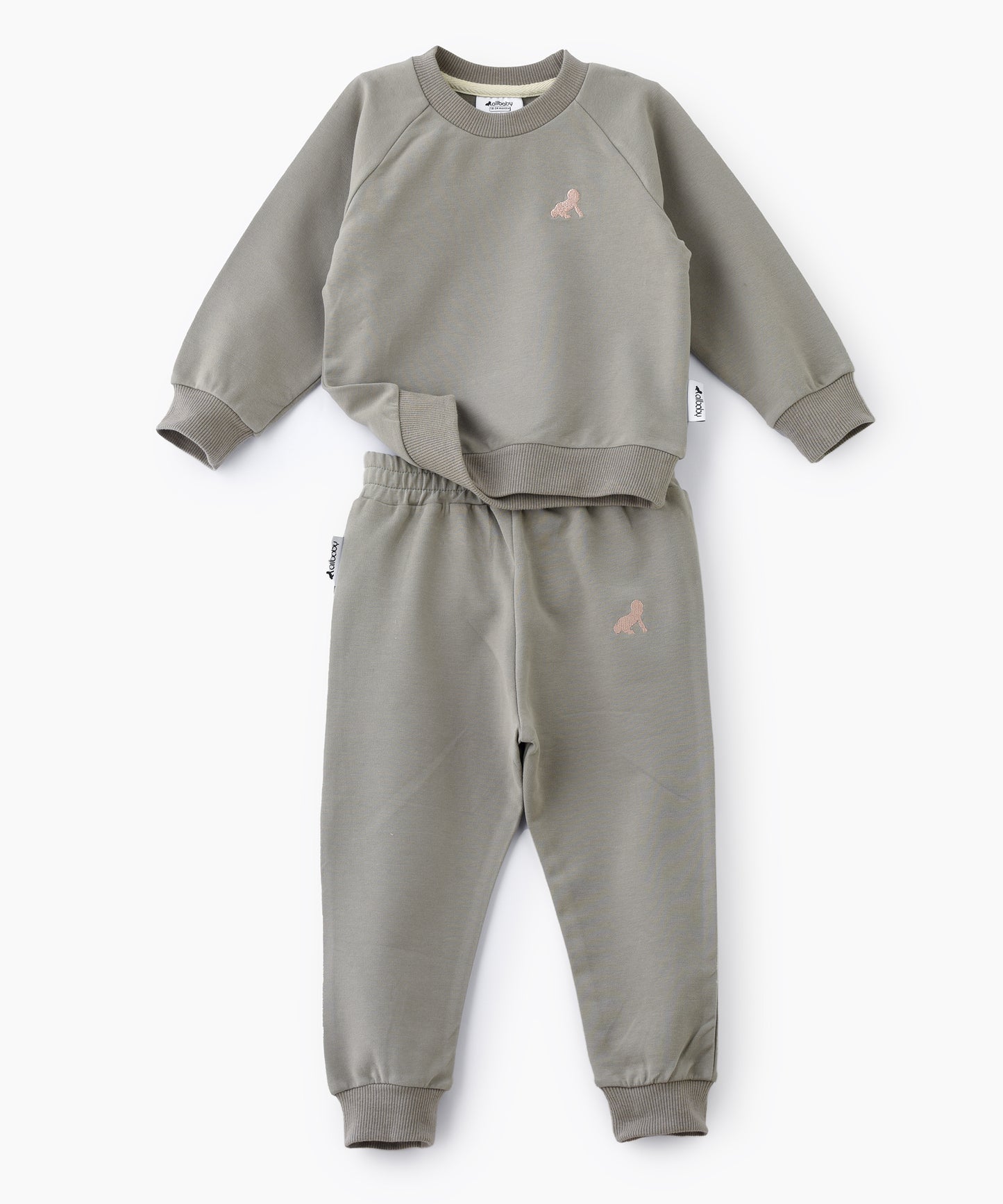 Sage Green Jogger-Shirt & Pant Set