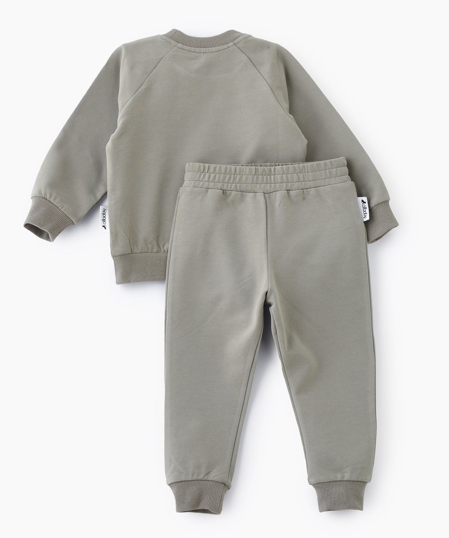 Sage Green Jogger-Shirt & Pant Set