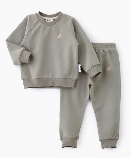 Sage Green Jogger-Shirt & Pant Set